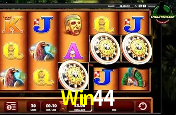 Apostas Esportivas na Win44: Um Guia Completo